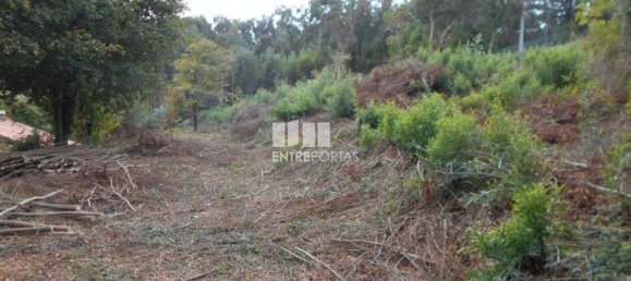6017m² Land in Caminha, Portugal No. 97615 2