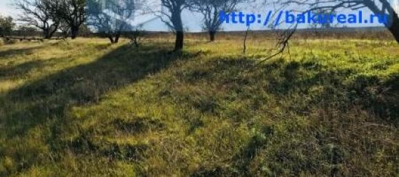 3500m² Land in Absheron, Azerbaijan No. 257 7