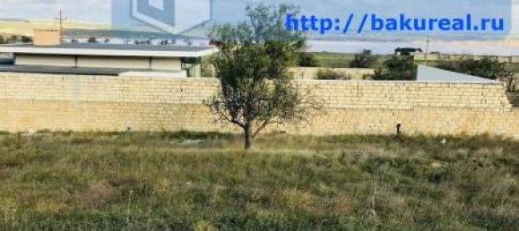 3500m² Land in Absheron, Azerbaijan No. 257 8