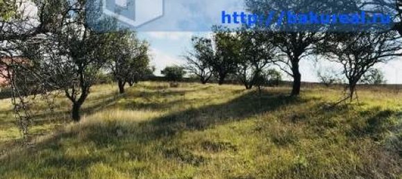 3500m² Land in Absheron, Azerbaijan No. 257 11