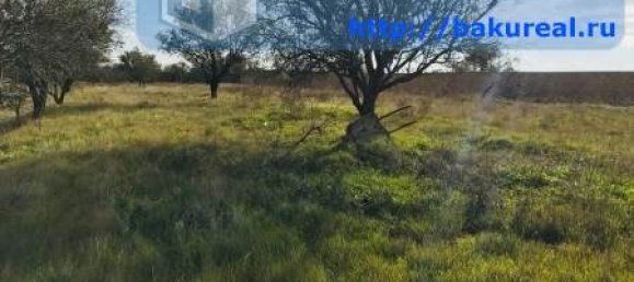 3500m² Land in Absheron, Azerbaijan No. 257 4