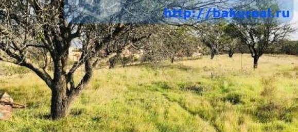 3500m² Land in Absheron, Azerbaijan No. 257 6