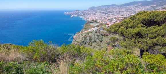 Land in Funchal, Portugal No. 145063 4