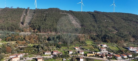 3 bedrooms House in Penacova, Portugal No. 31441 25