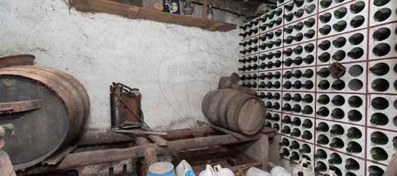 3 bedrooms House in Penacova, Portugal No. 31441 21