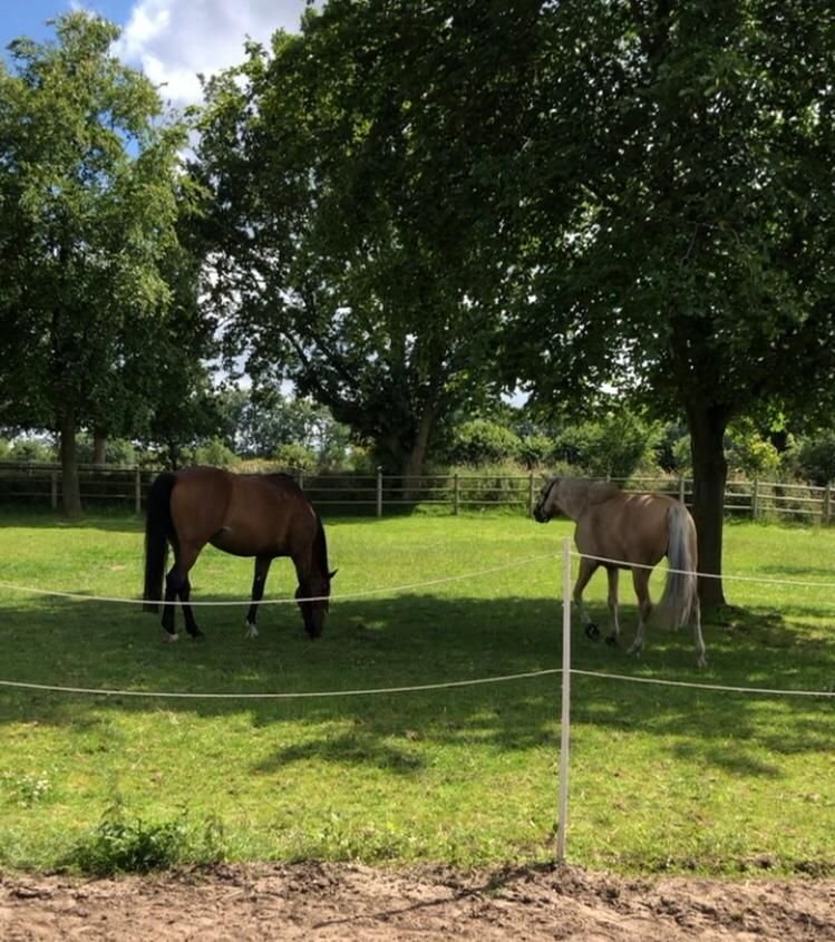  Castillos de 5 habitaciónes en Schleswig-Holstein, Germany No. 101319