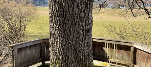 Дом с 7 спальнями в Miesbach, Германия № 210558 22