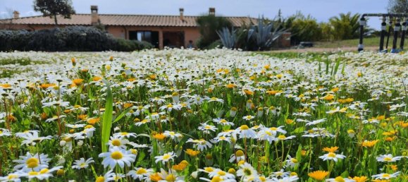 3 bedrooms Castles in Orbetello, Italy No. 55601 42