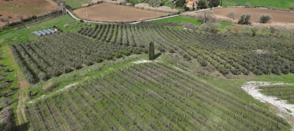 3 bedrooms Castles in Orbetello, Italy No. 55601 37