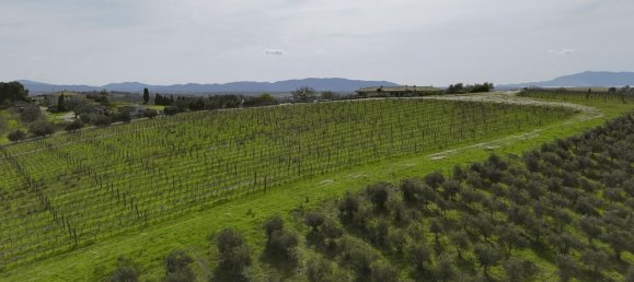 3 bedrooms Castles in Orbetello, Italy No. 55601 40