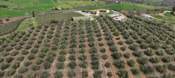 3 bedrooms Castles in Orbetello, Italy No. 55601 29