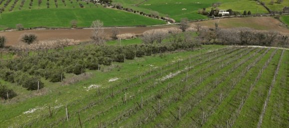 3 bedrooms Castles in Orbetello, Italy No. 55601 34