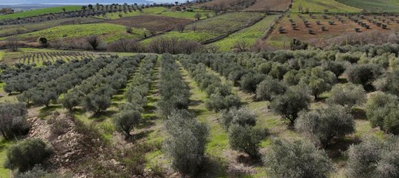 3 bedrooms Castles in Orbetello, Italy No. 55601 30