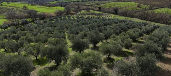 3 bedrooms Castles in Orbetello, Italy No. 55601 35