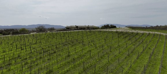 3 bedrooms Castles in Orbetello, Italy No. 55601 39