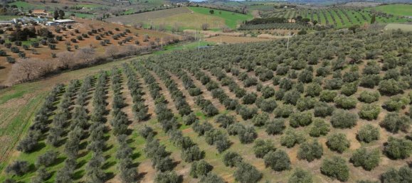 3 bedrooms Castles in Orbetello, Italy No. 55601 31