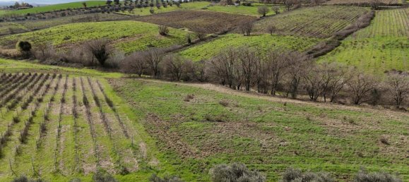 3 bedrooms Castles in Orbetello, Italy No. 55601 36