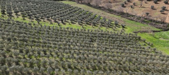 3 bedrooms Castles in Orbetello, Italy No. 55601 33