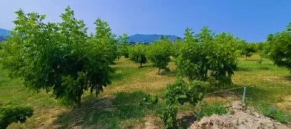 1 chambre Maison à Mijas, Spain No. 140370 13