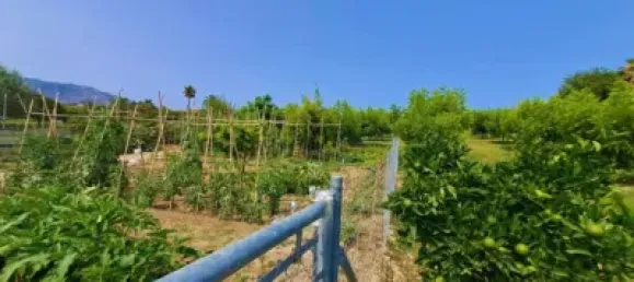 1 chambre Maison à Mijas, Spain No. 140370 17