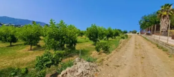 1 chambre Maison à Mijas, Spain No. 140370 12