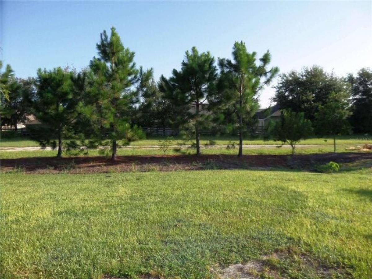 Дом с 3 спальнями в Уайлдвуд, США № 387864