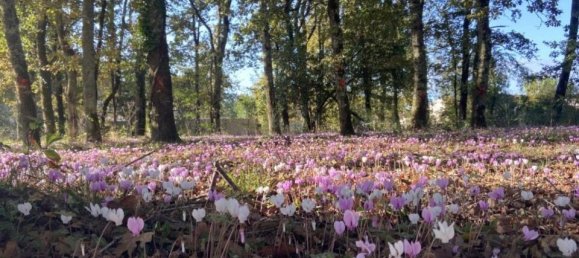 3 غرف نوم منزل في Le Barp, France رقم 347553 2