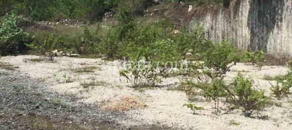 Земельный участок 2510м² в Южная Кута, Индонезия № 4161 3