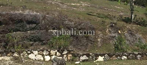 Земельный участок 2510м² в Южная Кута, Индонезия № 4161 5