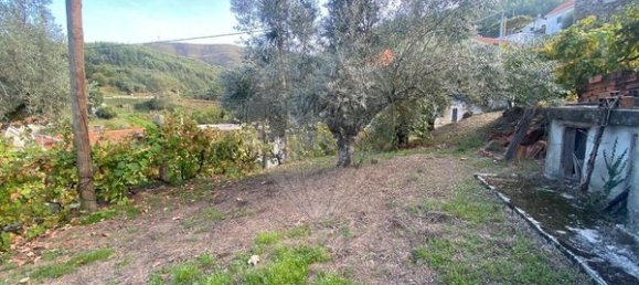 2 bedrooms House in Vouzela, Portugal No. 166851 8