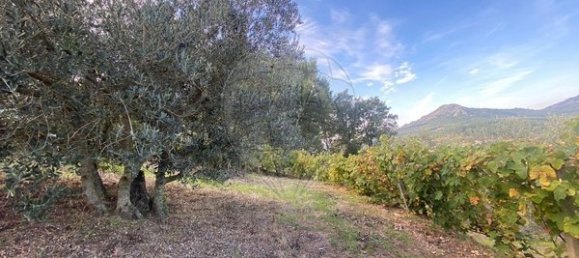 2 bedrooms House in Vouzela, Portugal No. 166851 6