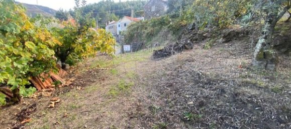 2 bedrooms House in Vouzela, Portugal No. 166851 12