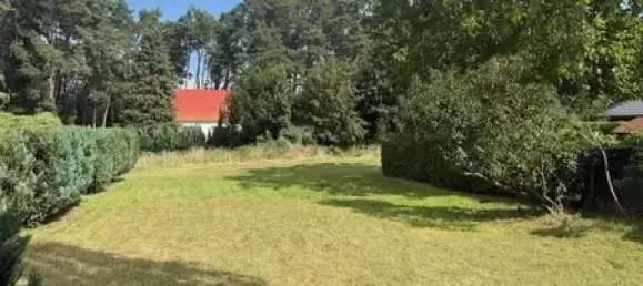  Land in Vorpommern-Greifswald, Germany No. 361178 7