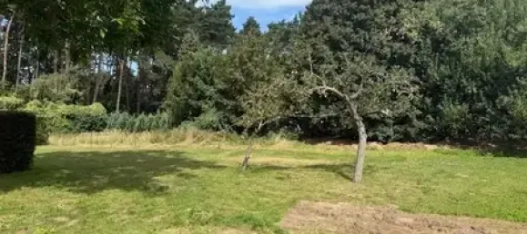  Land in Vorpommern-Greifswald, Germany No. 361178 6