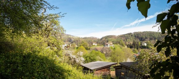 Land in Weiler, Austria No. 167558 13