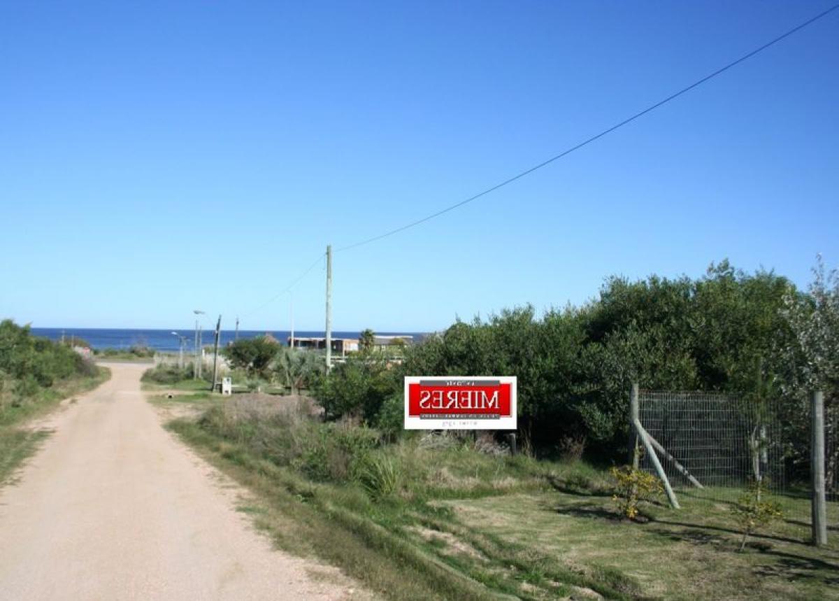Terrain à Maldonado, Uruguay No. 14583