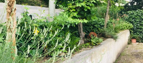 2 Schlafzimmer Wohnung in Vallefoglia, Italy, Nr. 320225 31