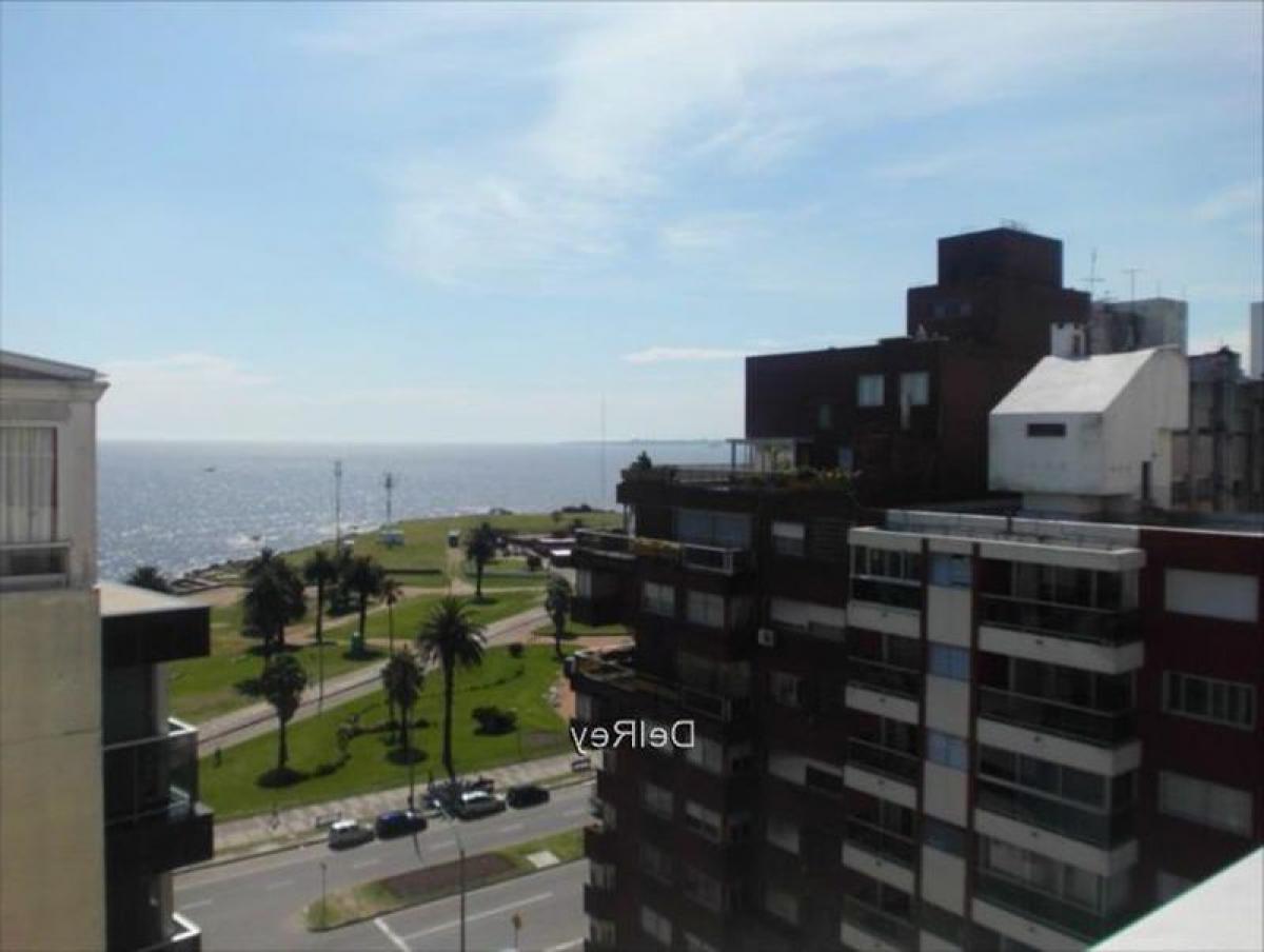 3 غرف نوم شقة في Montevideo, Uruguay رقم 3122