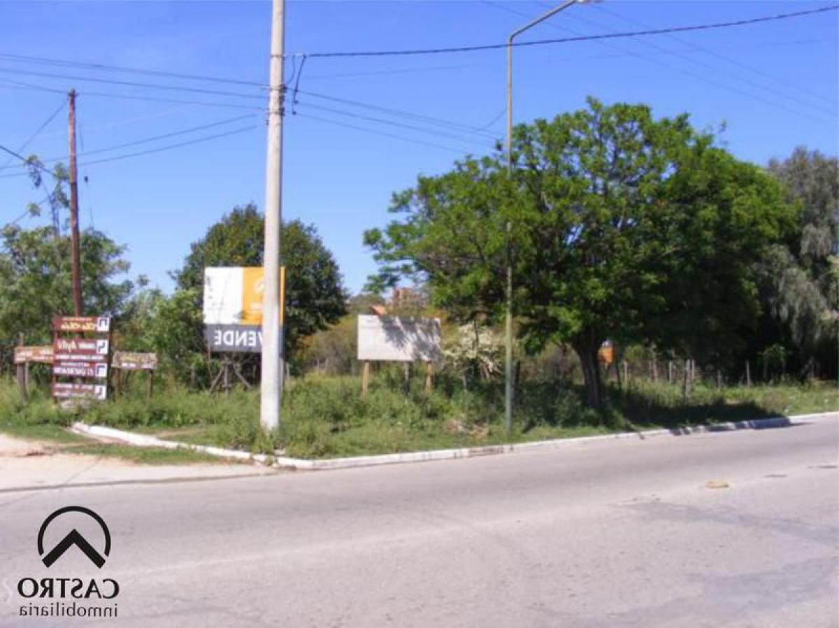 Terrain à San Luis, Argentina No. 41017