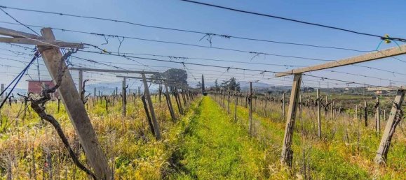 3 غرف نوم منزل في Frascati, Italy رقم 310031 42