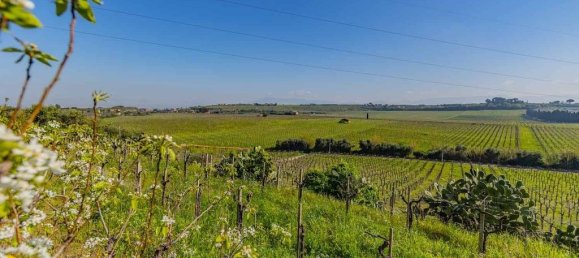 3 غرف نوم منزل في Frascati, Italy رقم 310031 33