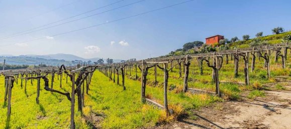 3 غرف نوم منزل في Frascati, Italy رقم 310031 22