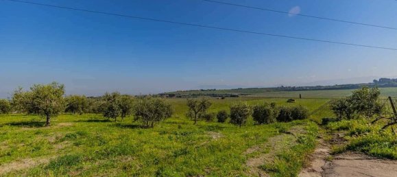 3 غرف نوم منزل في Frascati, Italy رقم 310031 45