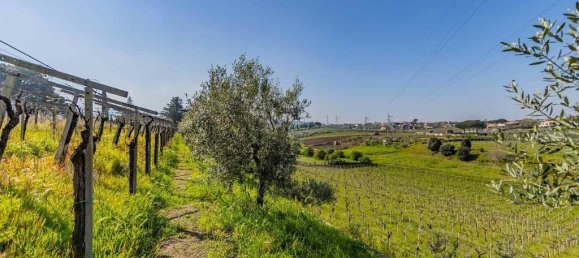 3 غرف نوم منزل في Frascati, Italy رقم 310031 39