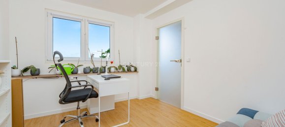 6 bedrooms Commercial property in Canico, Portugal No. 127752 19