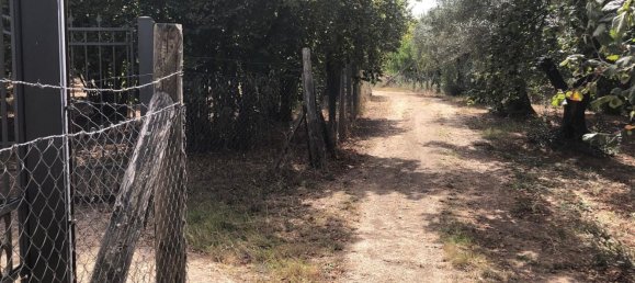 5 Schlafzimmer Haus in Carbognano, Italy, Nr. 315414 11