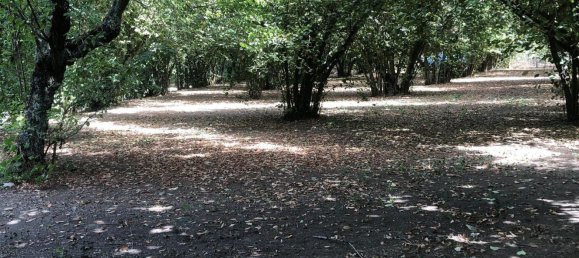 5 Schlafzimmer Haus in Carbognano, Italy, Nr. 315414 12