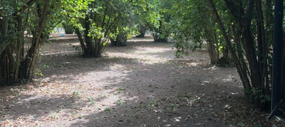 5 Schlafzimmer Haus in Carbognano, Italy, Nr. 315414 15