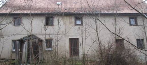 Terrain à Vogtlandkreis, Germany No. 55539 2