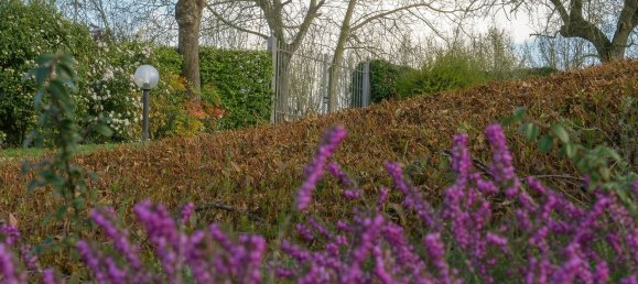 6 rooms Villa in Cherasco, Italy No. 224938 17